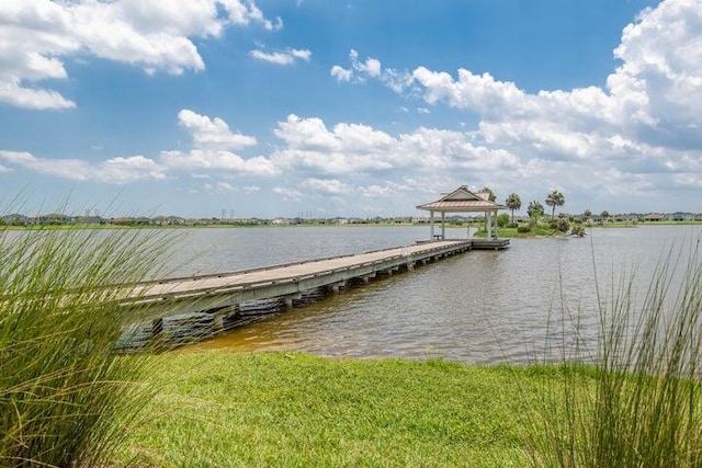 dock area with a water view