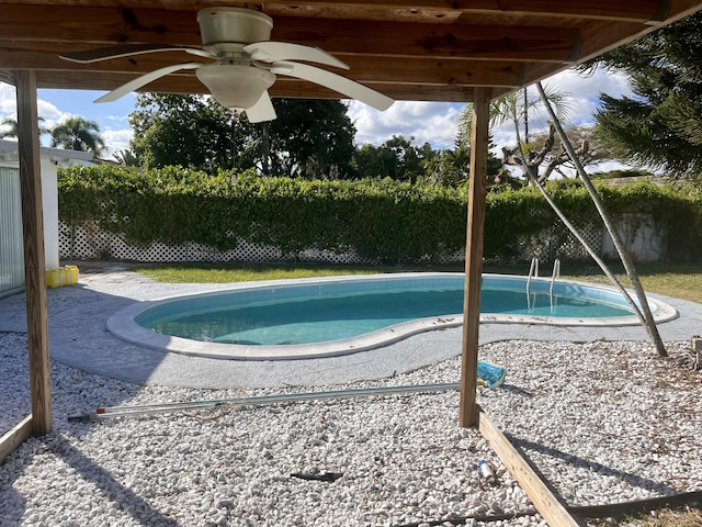 view of pool with a patio area and ceiling fan