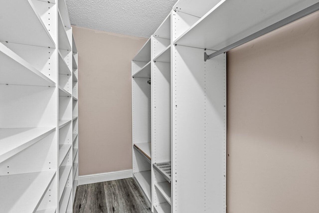 spacious closet featuring dark hardwood / wood-style flooring