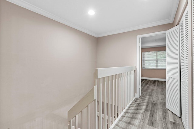 corridor featuring hardwood / wood-style flooring and ornamental molding