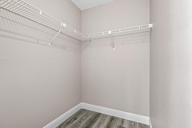 spacious closet with dark hardwood / wood-style flooring