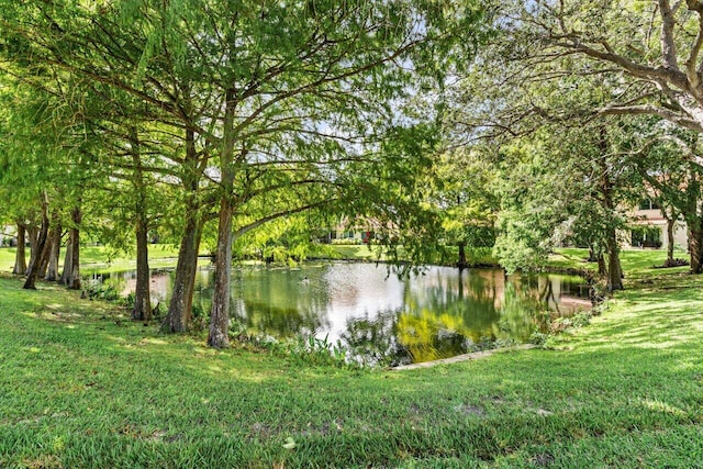 view of water feature