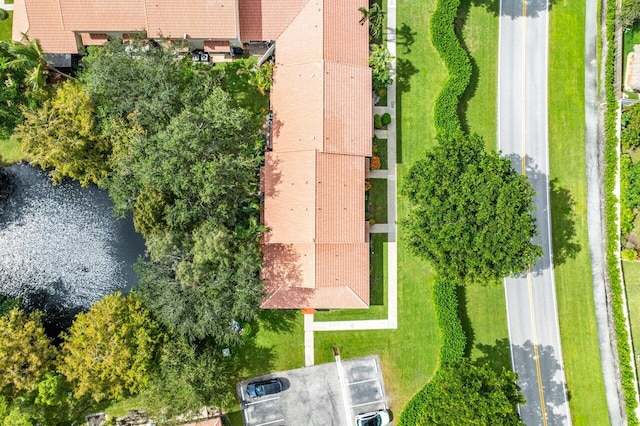 aerial view with a water view