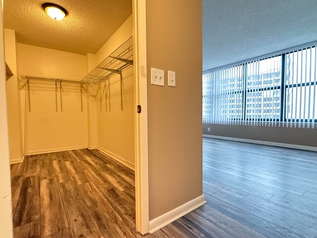 spacious closet featuring dark hardwood / wood-style flooring