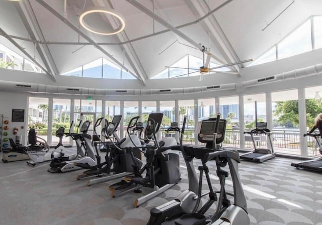 workout area featuring a wealth of natural light, carpet floors, and high vaulted ceiling