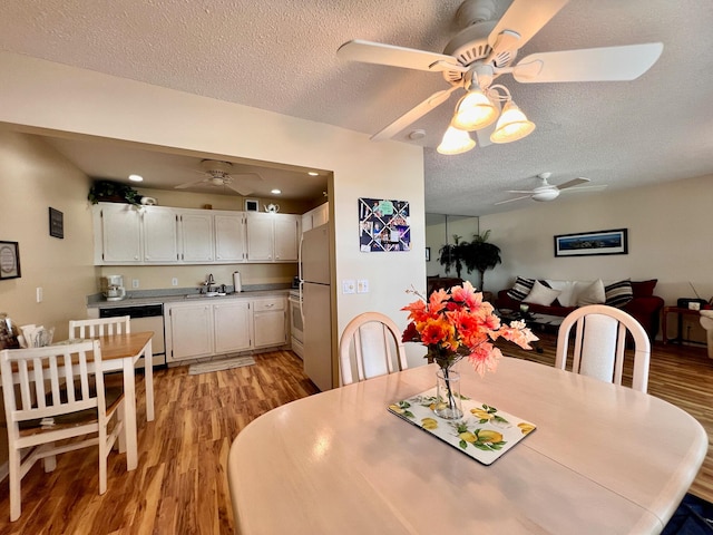 dining room featuring sink, a textured ceiling, light hardwood / wood-style floors, and ceiling fan