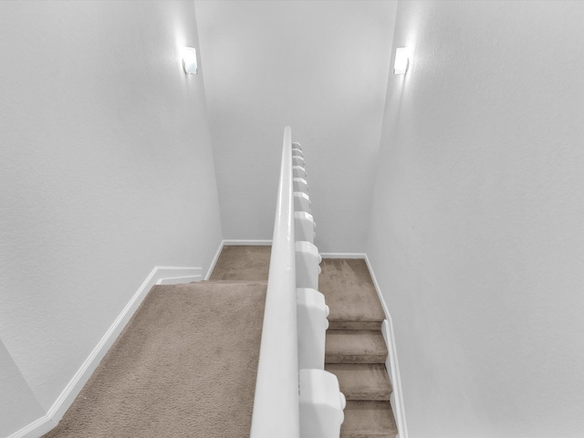 stairs featuring carpet floors