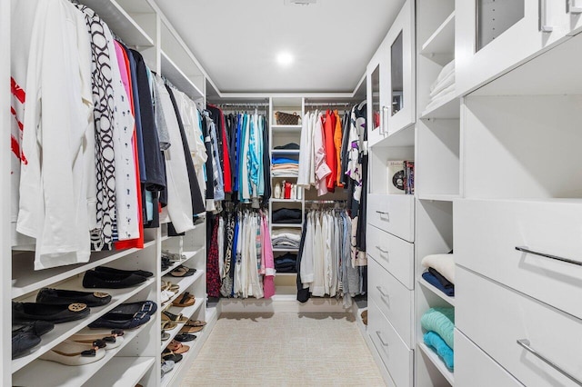 view of spacious closet