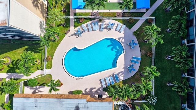 view of swimming pool with a patio