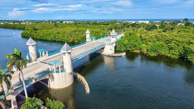 720 E Ocean Ave Unit 303, Boynton Beach, FL 33435 - dock area with a water view