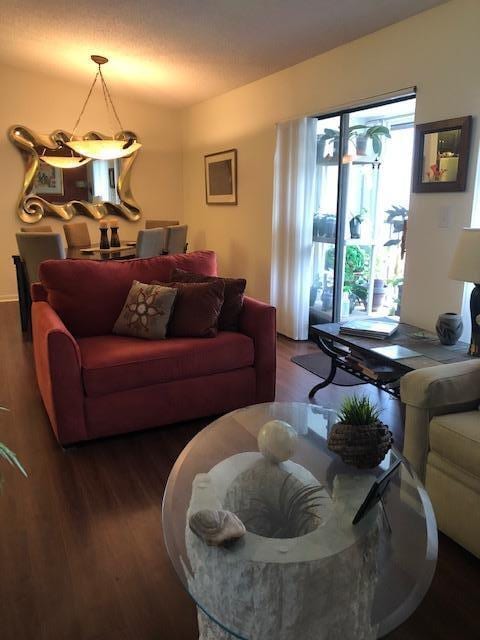 living room featuring dark hardwood / wood-style flooring