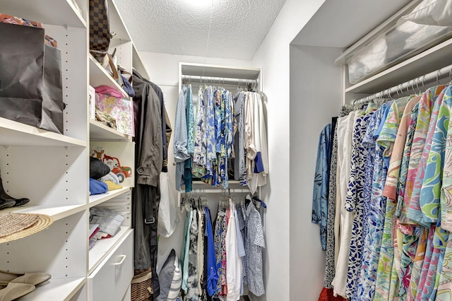 view of walk in closet