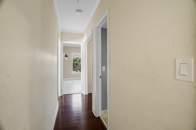 100 SW 15th Ct, Boca Raton, FL 33486 - hallway with ornamental molding, baseboards, and dark wood finished floors