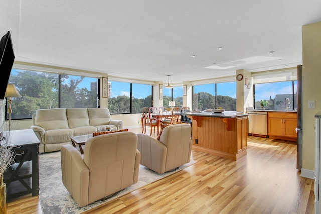 living room with light hardwood / wood-style flooring and sink