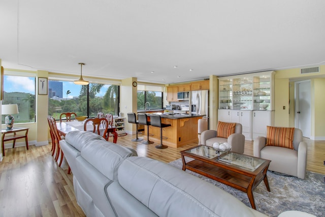 living room featuring light hardwood / wood-style flooring and sink