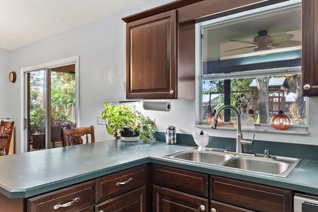 kitchen featuring dishwashing machine, dark brown cabinetry, and sink