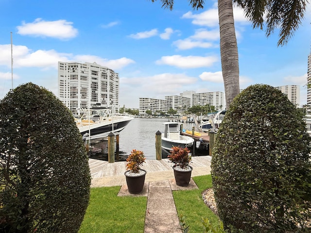 dock area with a water view