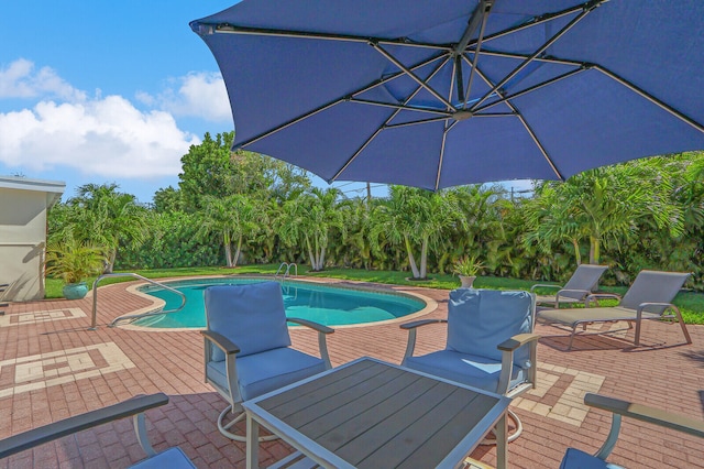 view of pool featuring a patio area