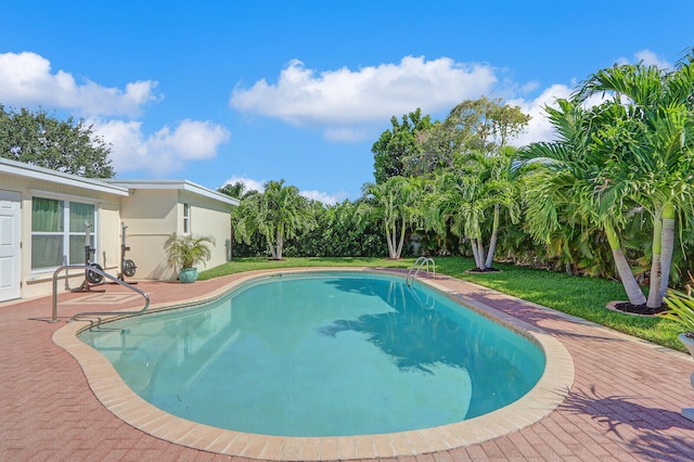 view of swimming pool featuring a patio and a yard