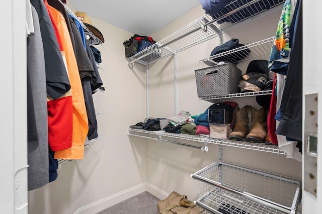 walk in closet featuring carpet floors