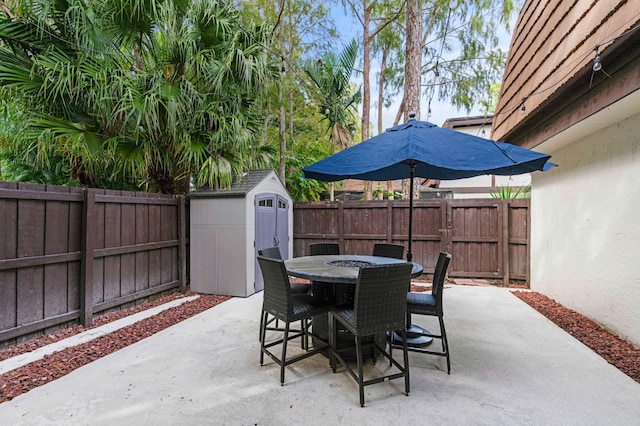 view of patio with a storage shed