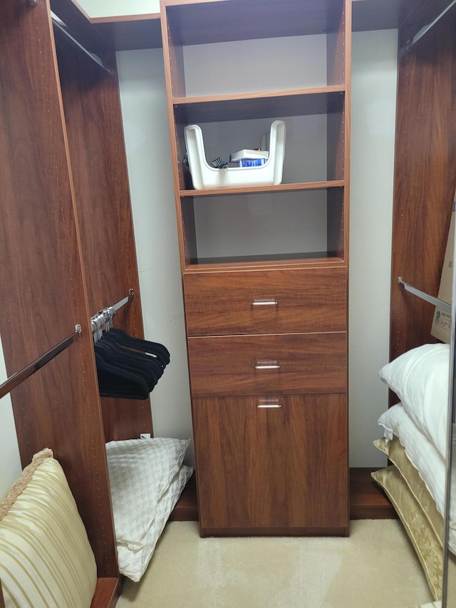 spacious closet with light colored carpet