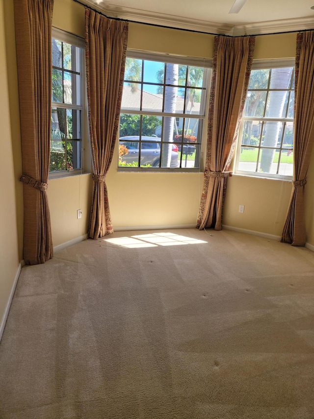 carpeted spare room featuring crown molding