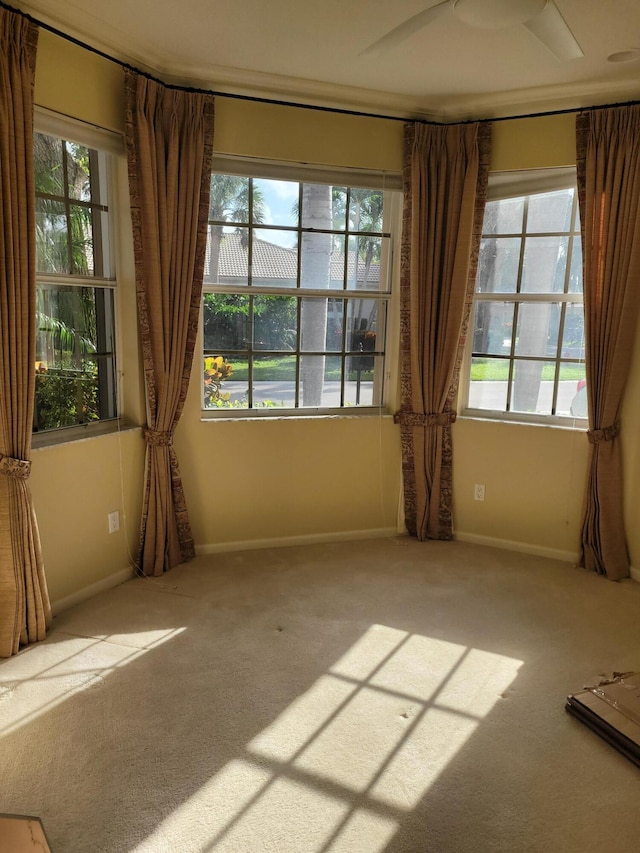 empty room featuring carpet floors and a wealth of natural light