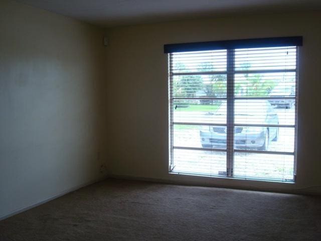 spare room featuring carpet flooring