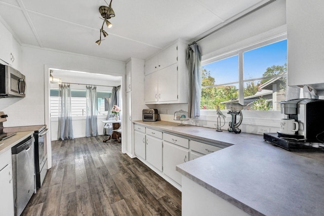 kitchen featuring white cabinets, dark hardwood / wood-style flooring, and stainless steel appliances