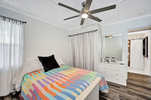 bedroom featuring ceiling fan, dark wood-type flooring, multiple windows, and crown molding