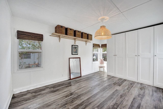 unfurnished bedroom featuring wood-type flooring