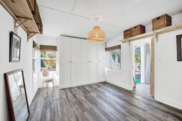 interior space featuring dark hardwood / wood-style flooring