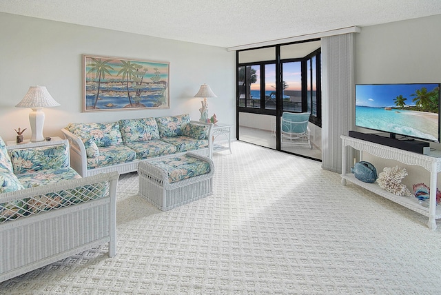 carpeted living room with a wall of windows and a textured ceiling