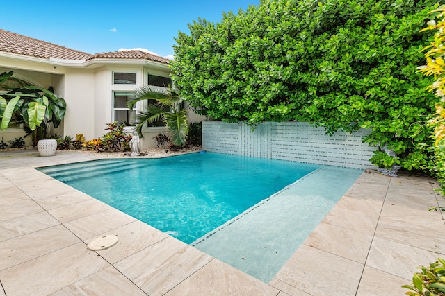 view of swimming pool with a patio