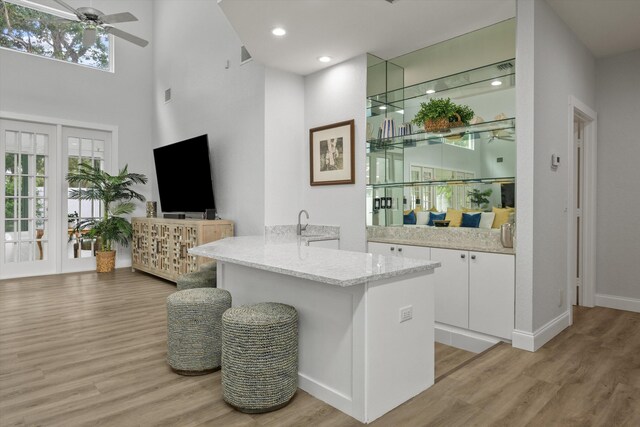 bar featuring ceiling fan, light wood finished floors, and a wealth of natural light