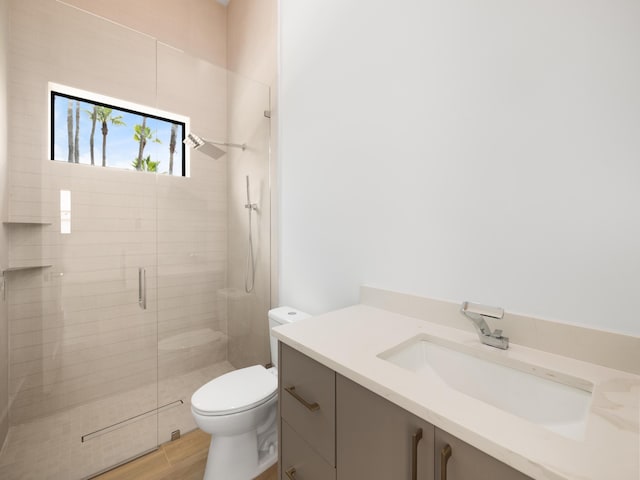 bathroom with vanity, toilet, wood-type flooring, and an enclosed shower