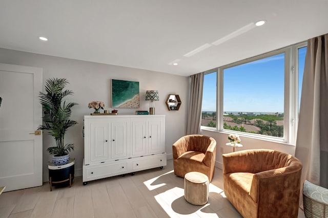 sitting room with light hardwood / wood-style flooring