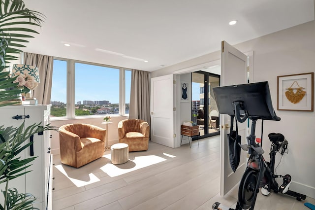 exercise room with light hardwood / wood-style flooring