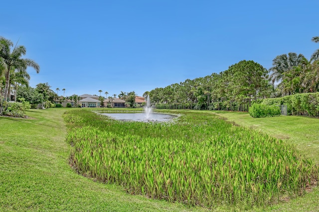 view of yard with a water view