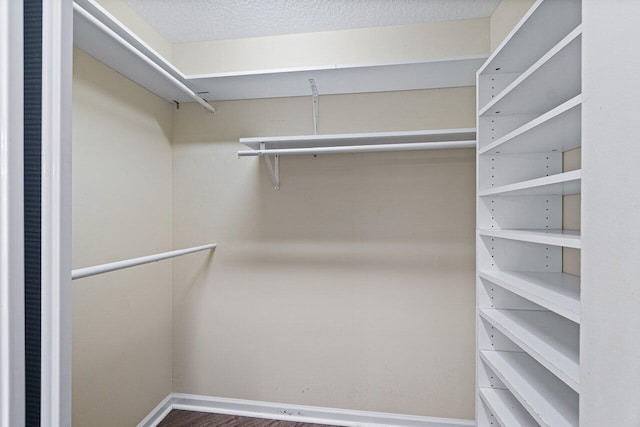 walk in closet featuring wood finished floors