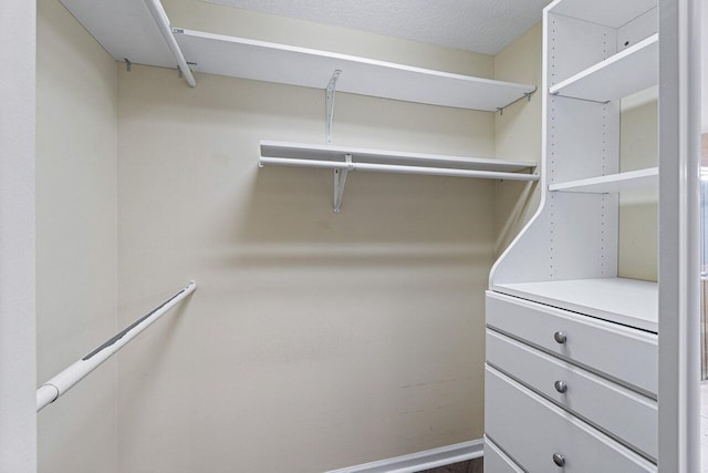 view of walk in closet