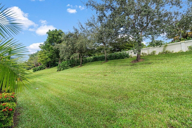 view of yard