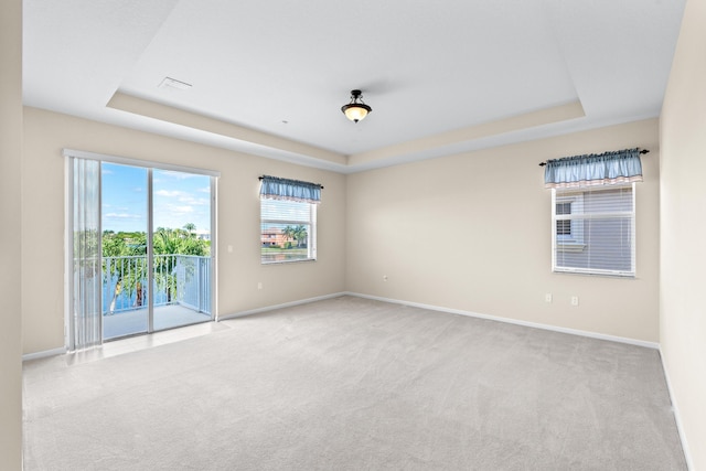 spare room with light colored carpet and a raised ceiling