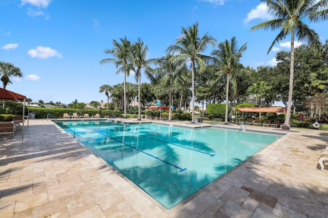 view of pool with a patio