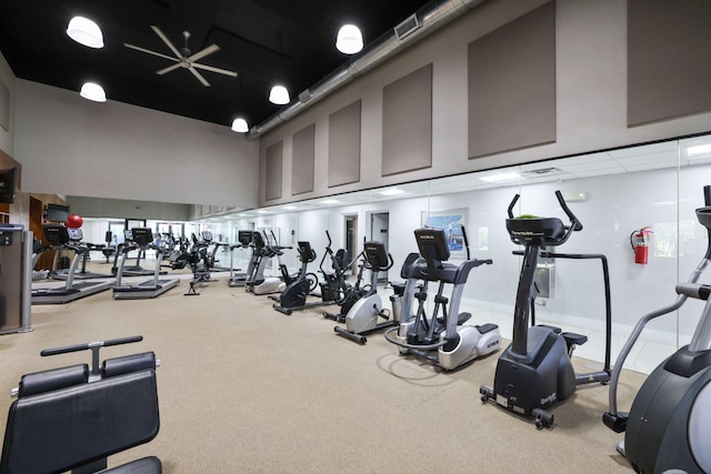 exercise room with a towering ceiling