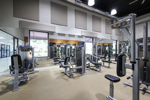 gym featuring a towering ceiling