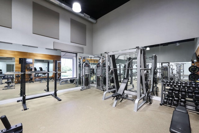 exercise room with a towering ceiling