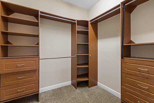 spacious closet featuring carpet