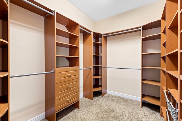 spacious closet featuring carpet floors